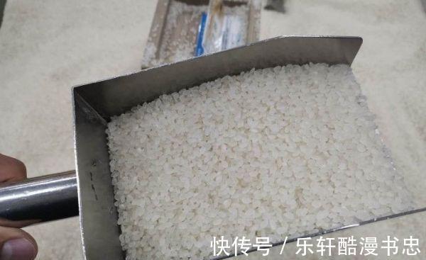 长虫|夏天大米生虫怎么办分享3个好办法，放一年都不生虫，很实用。