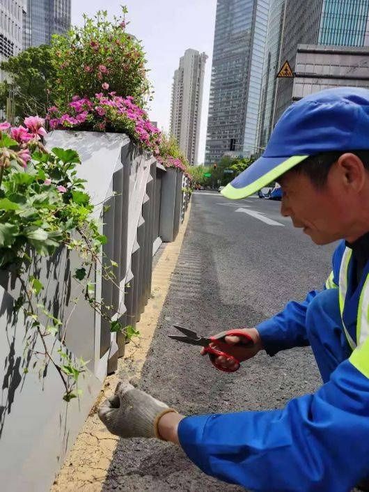 鲜花为笔，画出“五一”花瀑！浦东这些地标变“花境”，个个出片！