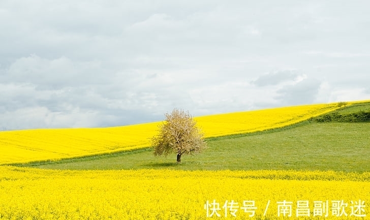 生肖|顺风顺水！12月红红火火，有喜事的生肖