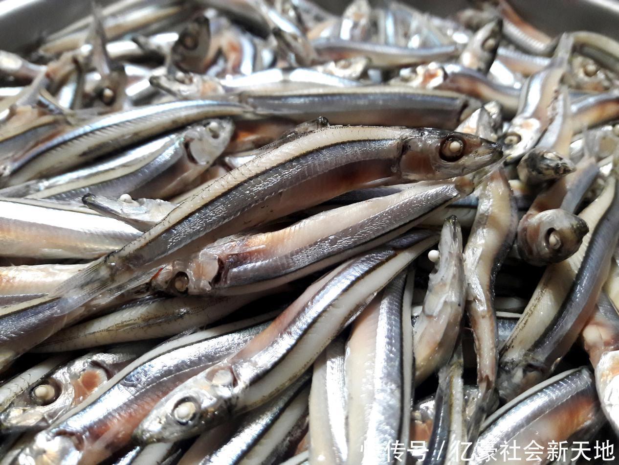 沙丁鱼|排名前10的长寿食物,没一样特别贵的,第2样太过少见,你知道吗