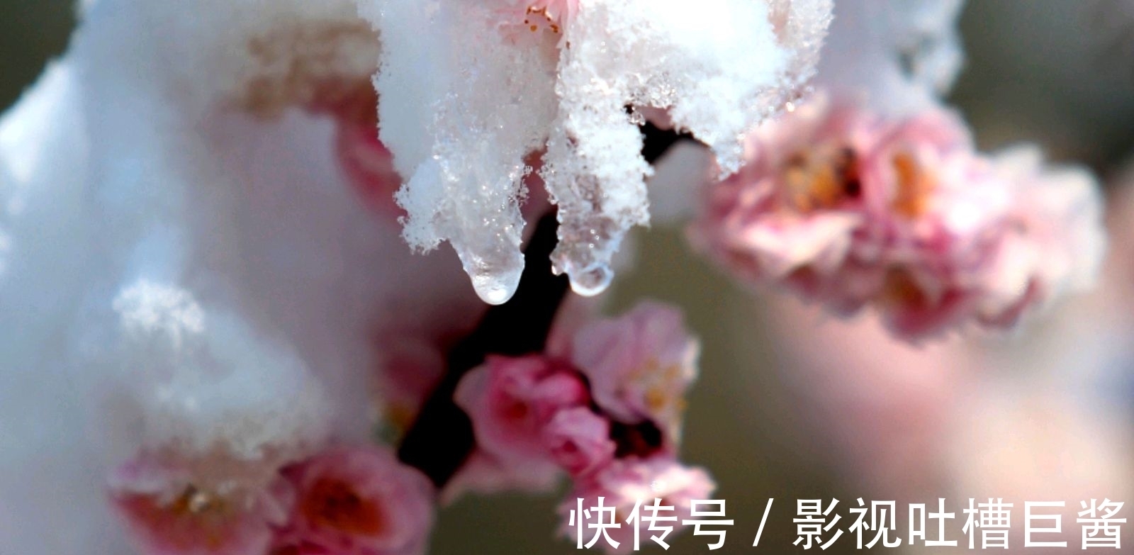 除夕夜&陆游在除夕夜举杯未饮先作诗,窗外大雪纷飞,屋内灯火暖暖