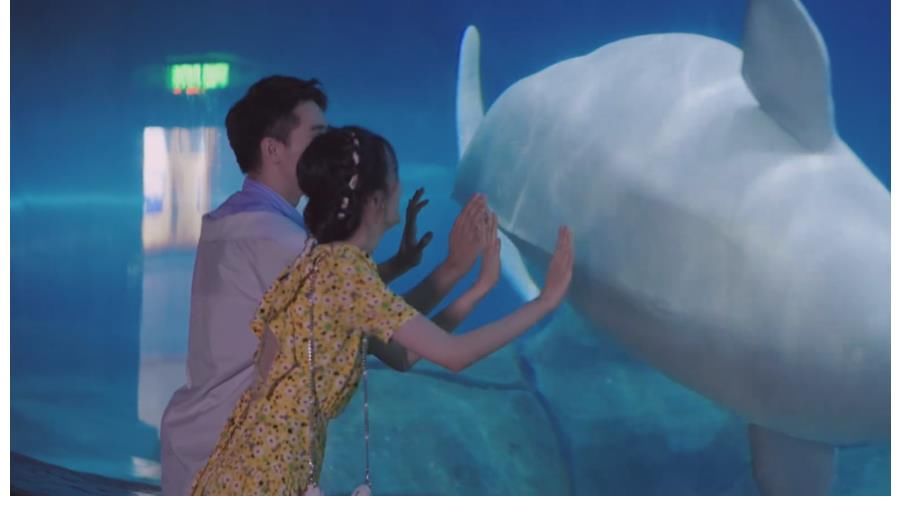 许魏洲|乔欣和许魏洲的真实关系,被郎朗点破了