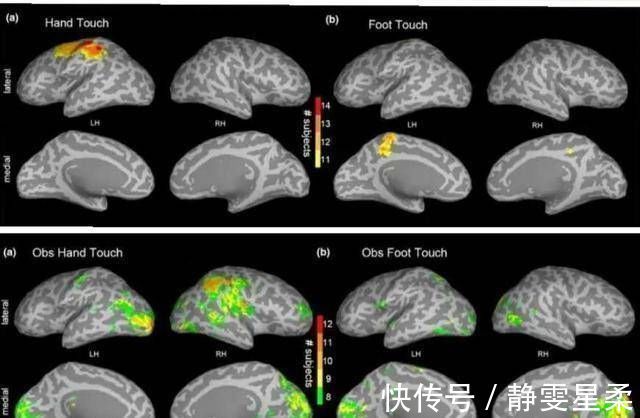 美妈|儿科医生4个部位多抚摸,娃聪明睡得好,但不少父母连碰都不碰