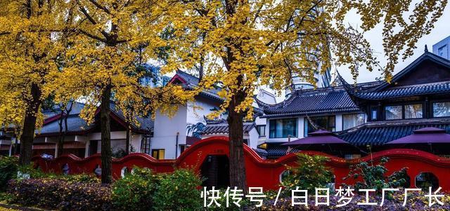 聊斋故事$聊斋故事:两个富家子弟轻视穷道士,被道士捉弄