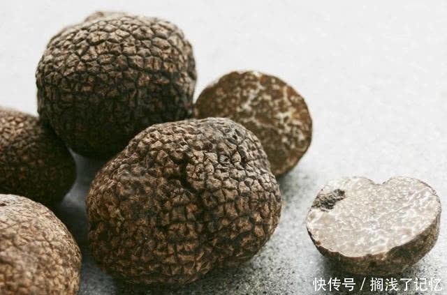 米其林|米其林大厨“最梦寐以求”的四种食材!外观却一个比一个怪异