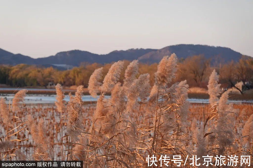 元代|北京市第一批水利遗产名录公布！有几个您肯定去过…