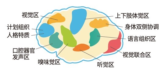 闹心|娃的这些闹心行为,可能是“感统失调”惹的祸,不干预会影响一生!