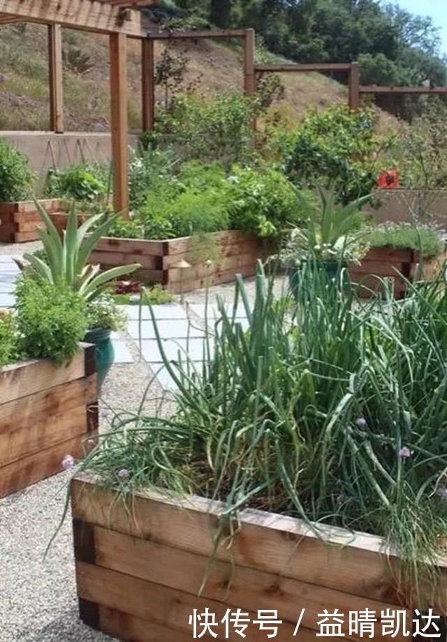 现在有个菜园才是人生赢家,450㎡可食用花园,实现你的吃货自由