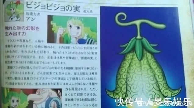 草帽团|海贼王:尾田公布20颗果实的样子,草帽团公布4颗,龙果实太难看