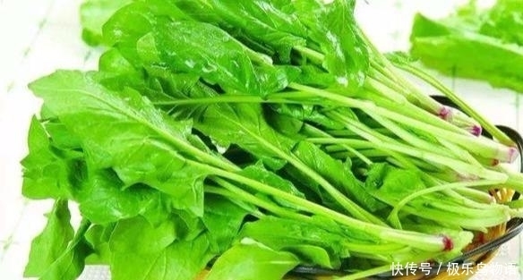 40岁女性可以吃3种食物,美容养生、滋润身体,早吃早健康!