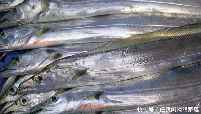 鲜嫩|煎带鱼,千万别再用淀粉大厨用它挂浆,外酥里嫩不粘锅,沒腥味