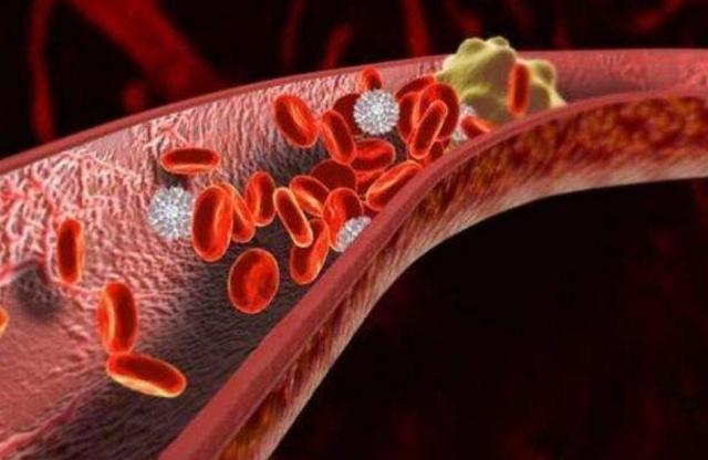 黄芪泡水|黄芪和“它”天生一对,每天坚持喝,养肝排毒,血栓偷偷“溜”走