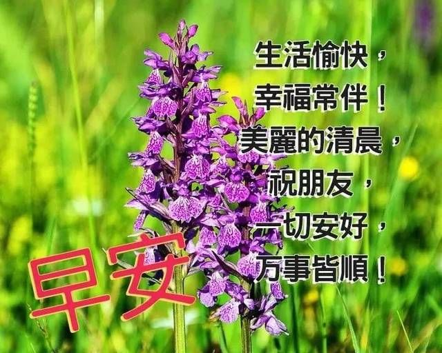 早安|最新群发早上好问候祝福动画表情图片 早安问候语动态图片表情