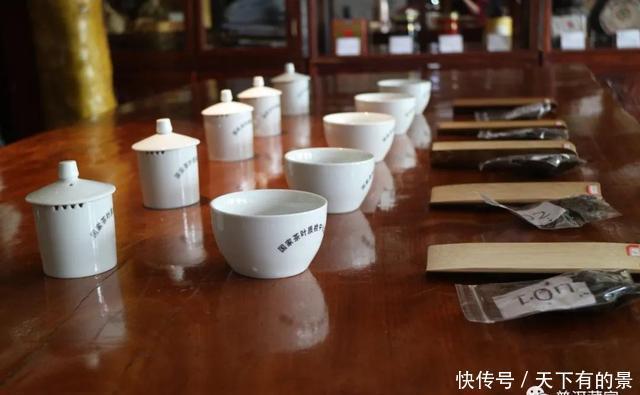 古树纯料|深度解析!纯料与拼配之争,哪个更好?