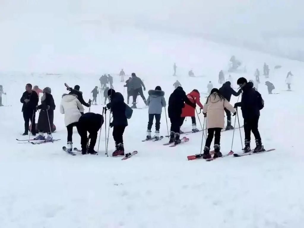 1小时飙拢！去重庆看雪！云海雪山森林，下山还能泡温泉！