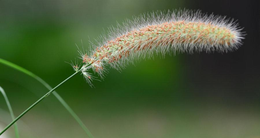 诗鬼李贺的写作小妙招,小学生拿来就能用,家长不再担心作文考砸