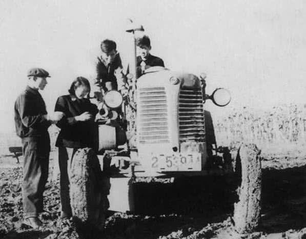 拖拉机|她是印在1元纸币上的女孩,可她却在30年后才知道纸币上是自己