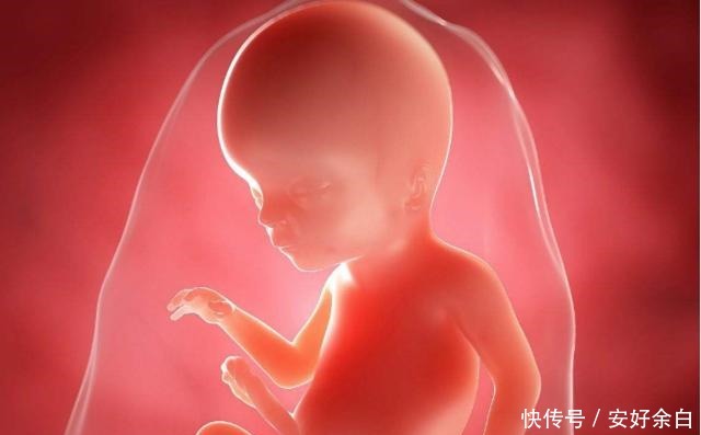 毛发|孩子头顶几个“旋”有什么说法可能不少人想“错”了,不妨一看!