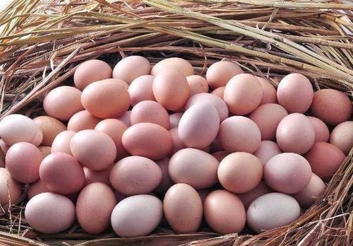 预防三高少吃肉吗,专家说:骗你40年了,心脑血管疾病的元凶是他