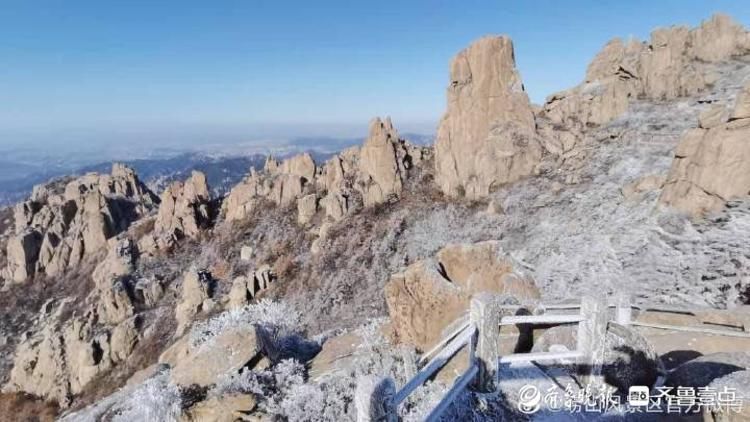 第一场雪|崂山迎来今冬第一场雪，白雪雾凇分外妖娆