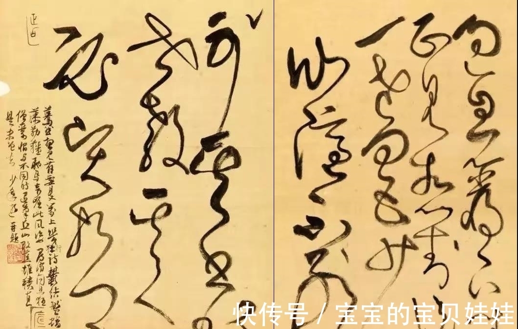 创意|谢稚柳书法,有“创意”,欠“功力”