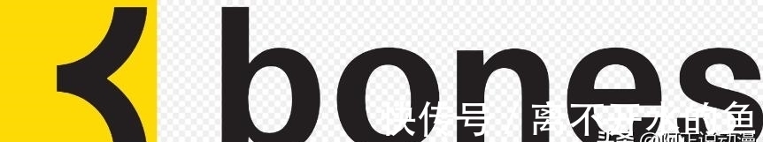 南雅彦|这家公司,永远只做有骨气的动画