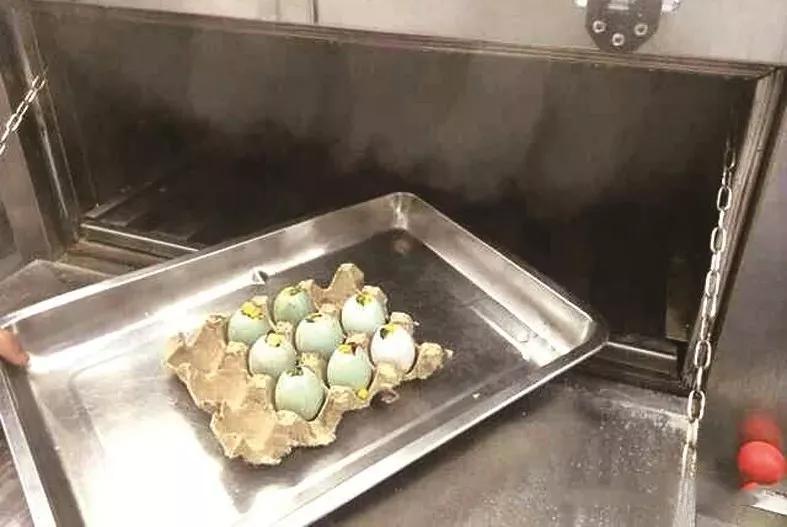 马上过年了,10道精致凉菜,款式新颖,型味俱备!