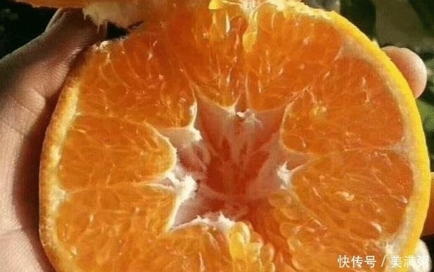 看完|你家还在吃丑橘吗现在知道不算晚,看完后请帮忙转告身边人