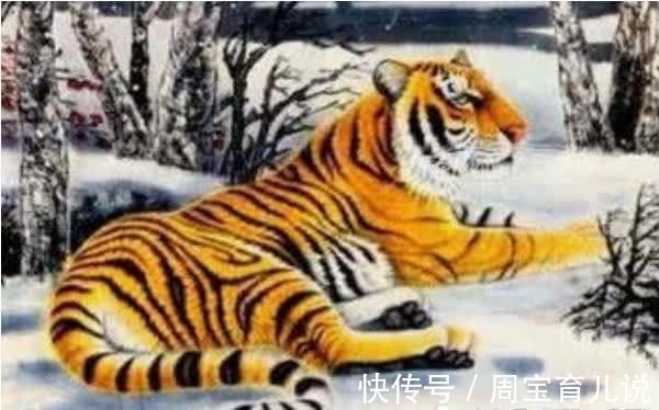 红鸾星动|生肖虎的晚年：尤其是74年的“虎虎生威”，一定要花一分钟看看