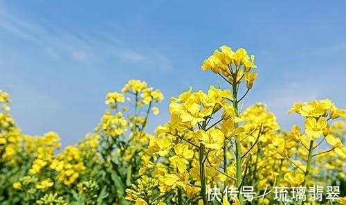 天后|5天后，没有怨恨，心中充满爱，一见倾心，相濡以沫到白头