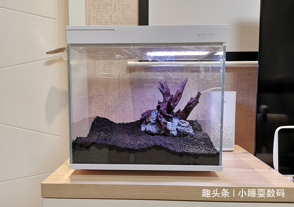 哪种鱼缸更适合养鱼画法几何AI智能鱼缸，水质监测还能自动喂食