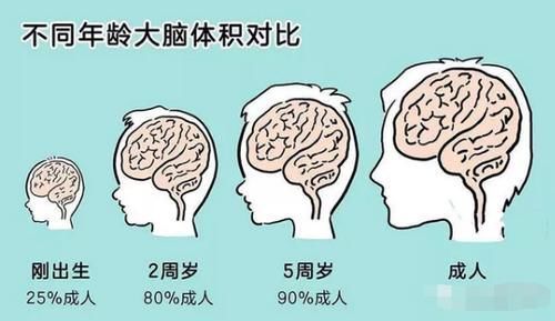 婴儿|3岁前是“黄金发展期”,别错过三大窗口,最后一种特重要