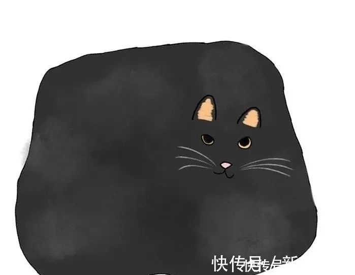 插画作品$插画家画了几只猫,被网友吐槽瞎画,放上原照后,人们直接无语