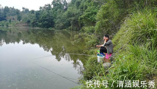 鲤鱼|弄明白这几句话,野钓找鱼窝,简直易如反掌