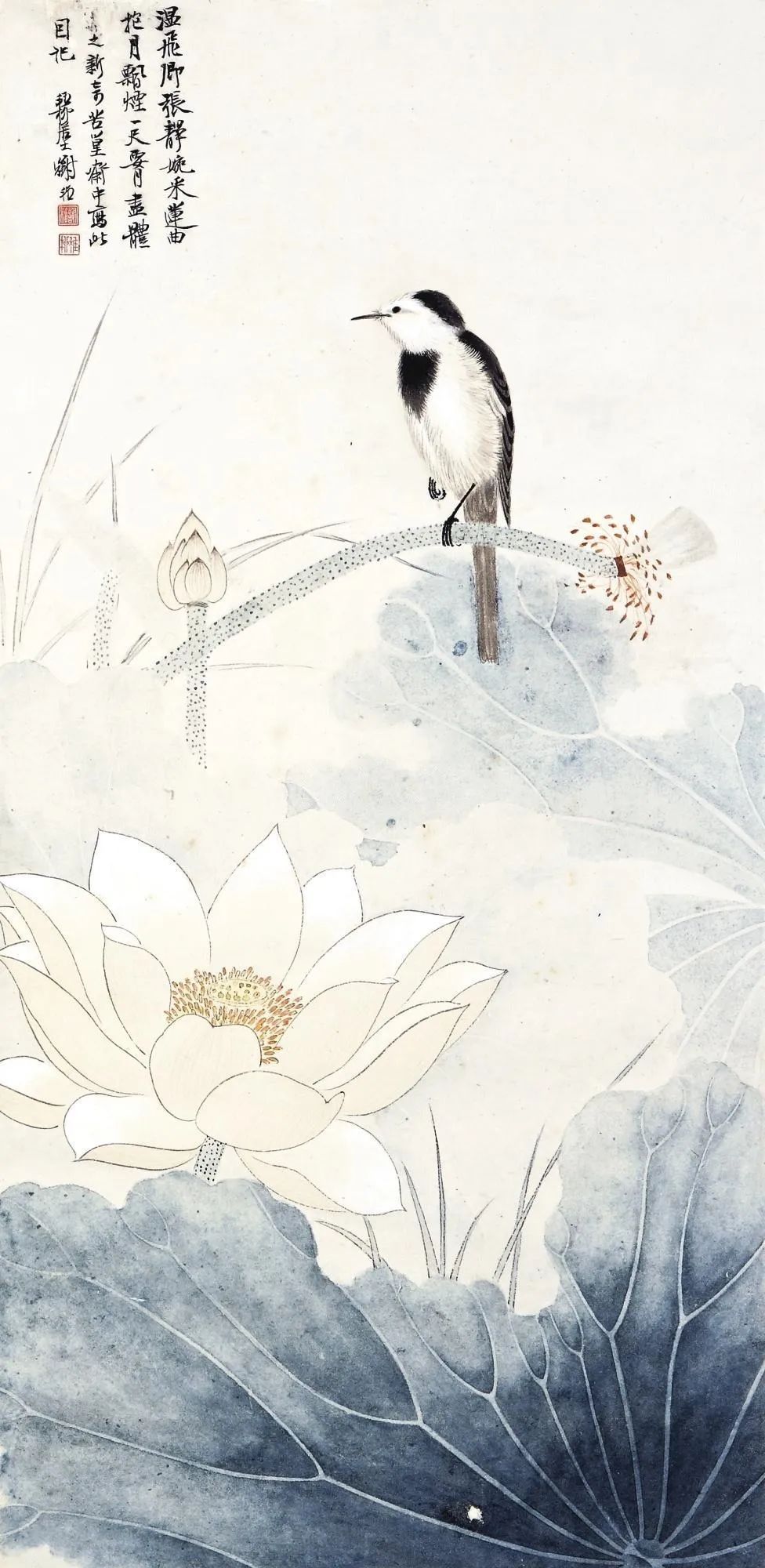 荷塘$谢稚柳的江南荷塘，美翻了