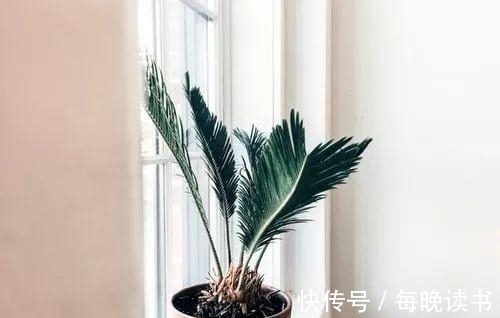 百事哀|“你有多久没开开心心地笑了?”