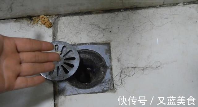 卫生间里老有小黑虫赶紧倒一碗它，异味黑虫全消灭，快告诉家人