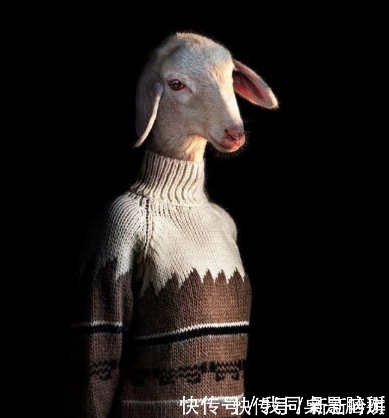 |开心一刻笑话:同事一大姐,把自家上一年级的小萝莉带到公司