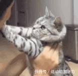 你该换包了!今年流行这3款,好看又百搭