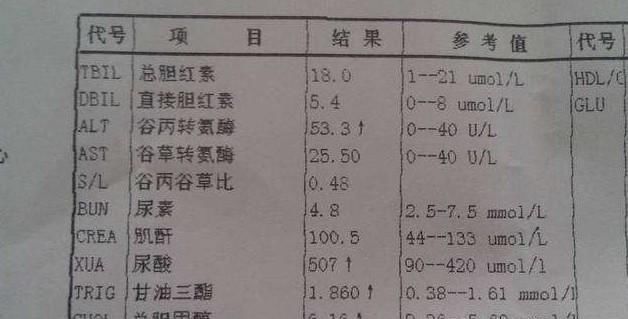 肾病|高尿酸的“克星”找到了，水里泡1物，尿酸悄悄降，肾病不来找