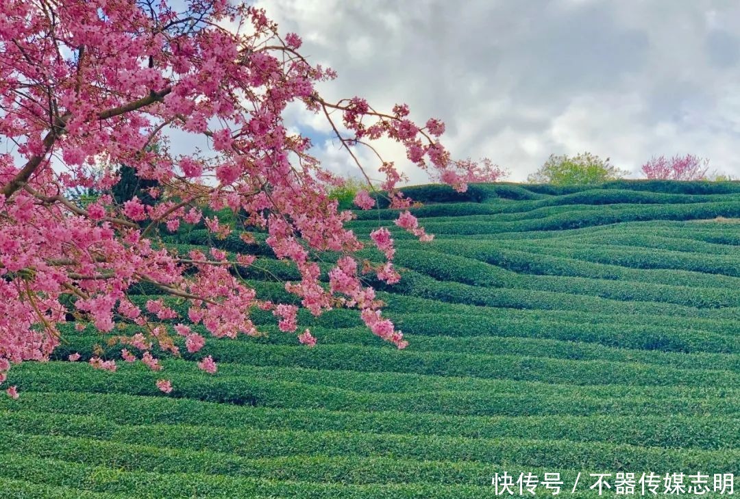 2月最佳旅行地榜单出炉｜看到第一个我就忍不住想出发……