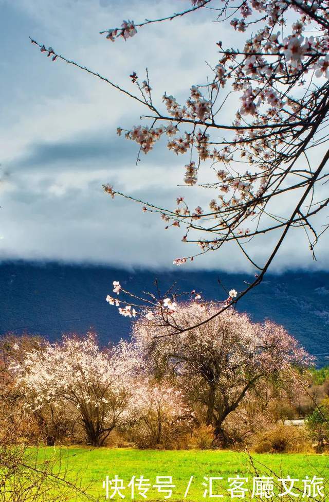 看遍国内花海，唯独林芝桃花、金川梨花，这个3月不容错过！