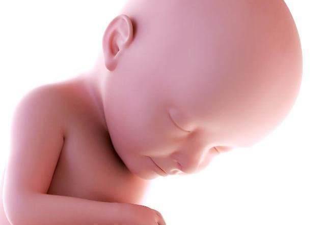 声音|怀孕时，这3种声音胎儿“受不了”，可能影响“智力”，最好远离