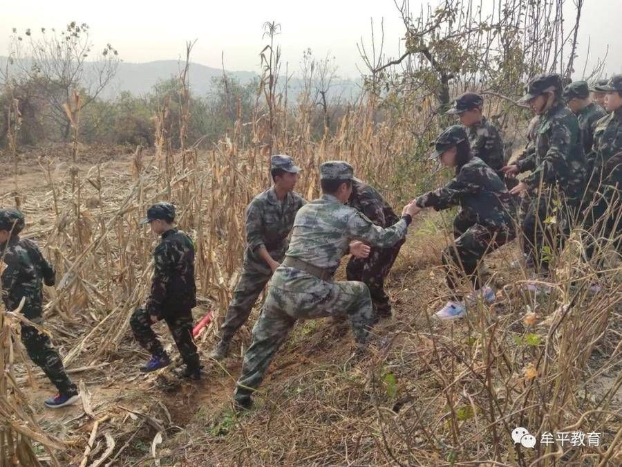 沉浸式|山东牟平：“沉浸式”劳动教育让学生收获满满