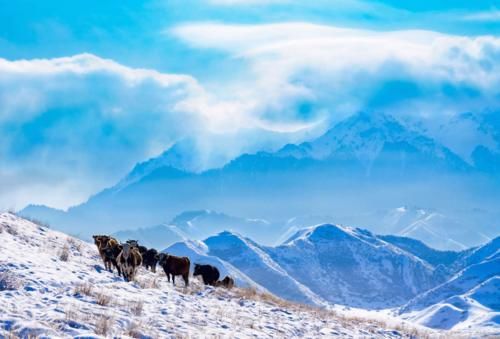 【图说新疆】新疆玛纳斯：蓝天映白雪 云雾绕雪山