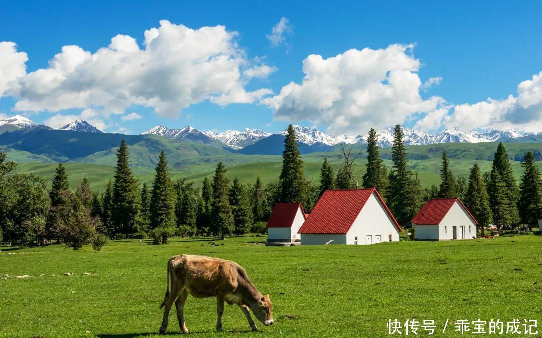 巴音布鲁克|横跨崇山峻岭，穿越深山峡谷，独库公路“纵贯天山的景观大道”