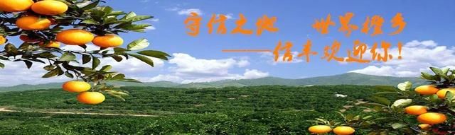 打卡地|中秋小长假!信丰这里不仅有诗意的山水田园，还有9个高颜值打卡地等你来!