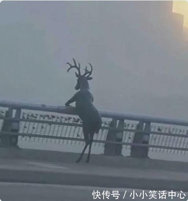 |【被窝段子20211223】现实点,你根本没有努力,你在抱怨