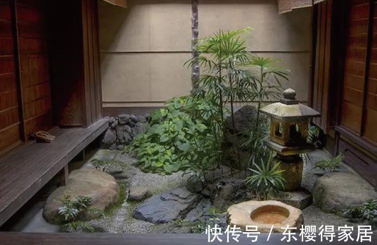 中国传统文化|世界上最小的庭院,居然能有意想不到的意境,简直太美了!