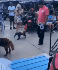 |搞笑GIF:有个这样的女友 肯定连五十都活不到